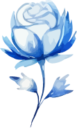 flower-6