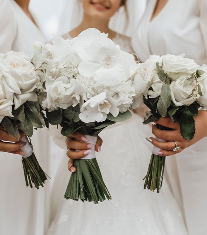 White-Rose